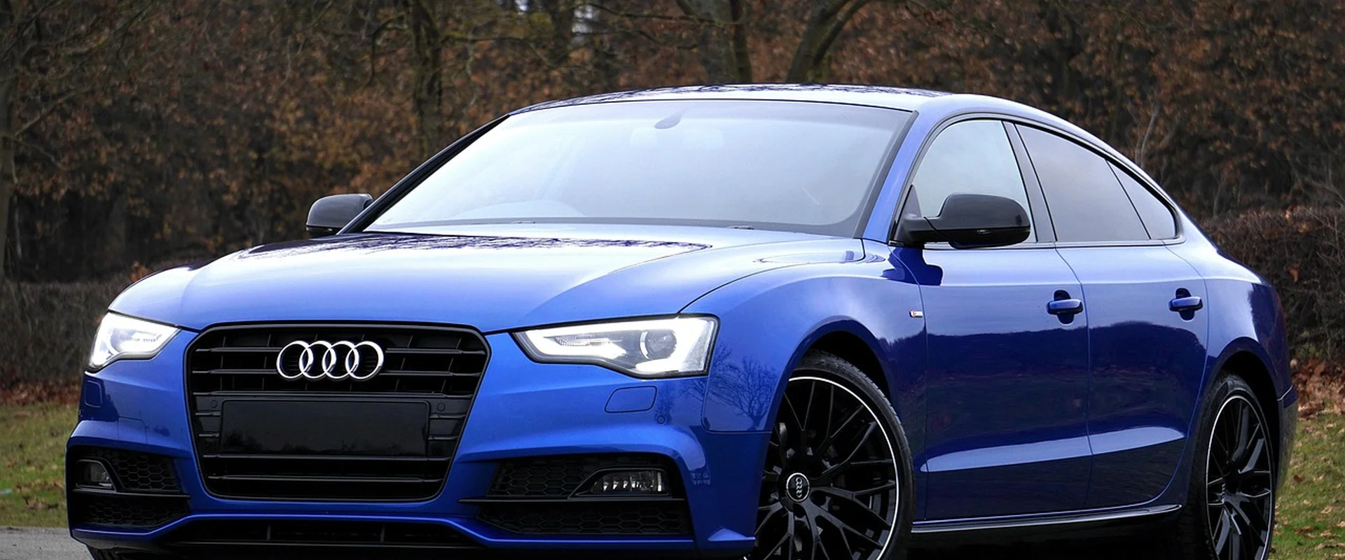 问鼎娱乐(China)官方网站娱乐平台