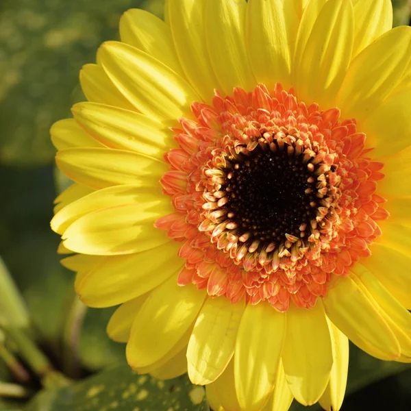 问鼎娱乐21点游戏